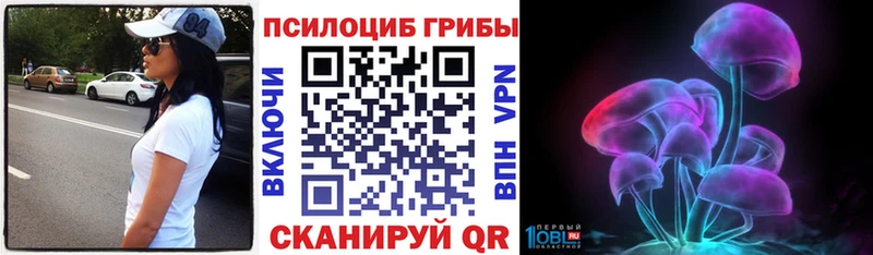 Галлюциногенные грибы Psilocybe  купить закладку  Петрозаводск 