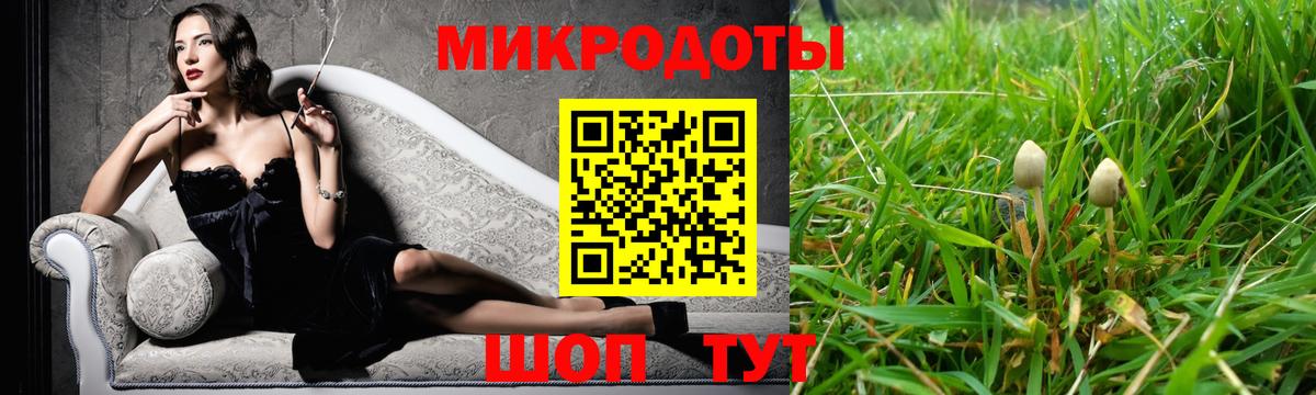 Галлюциногенные грибы прущие грибы Петрозаводск